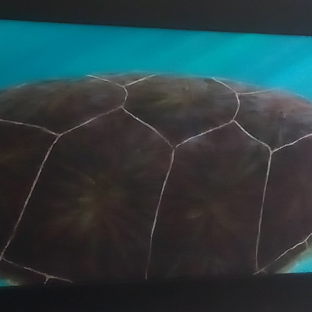 Honu Sea Turtle Original oil Painting by Hawaiian artist - Picture 3 of 5